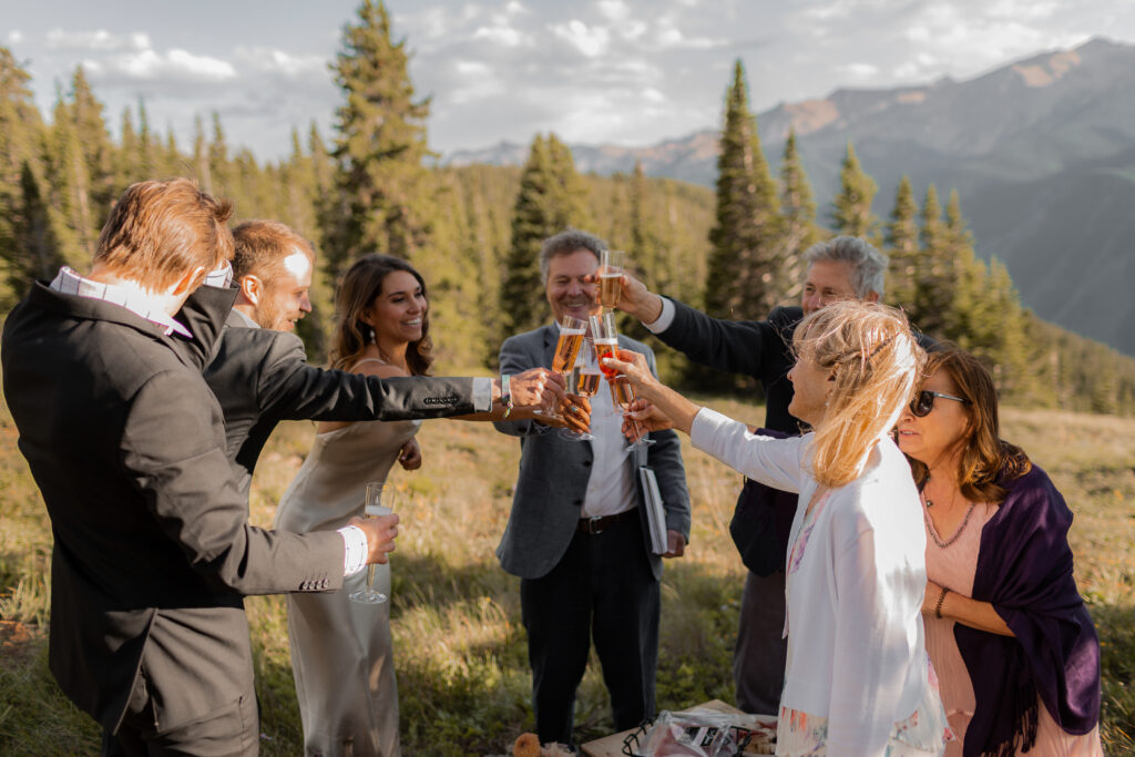 family cheers celebrating just married couple