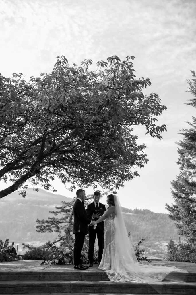 beautiful backdrop at oregon wedding on the hood river