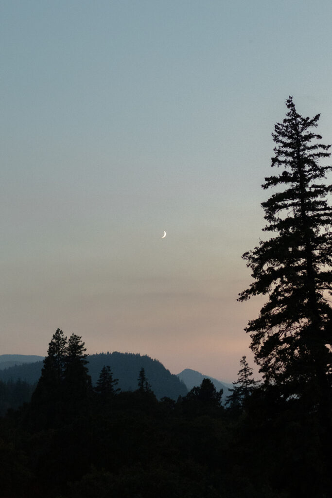 views of the little moon at the columbia gorge hotel