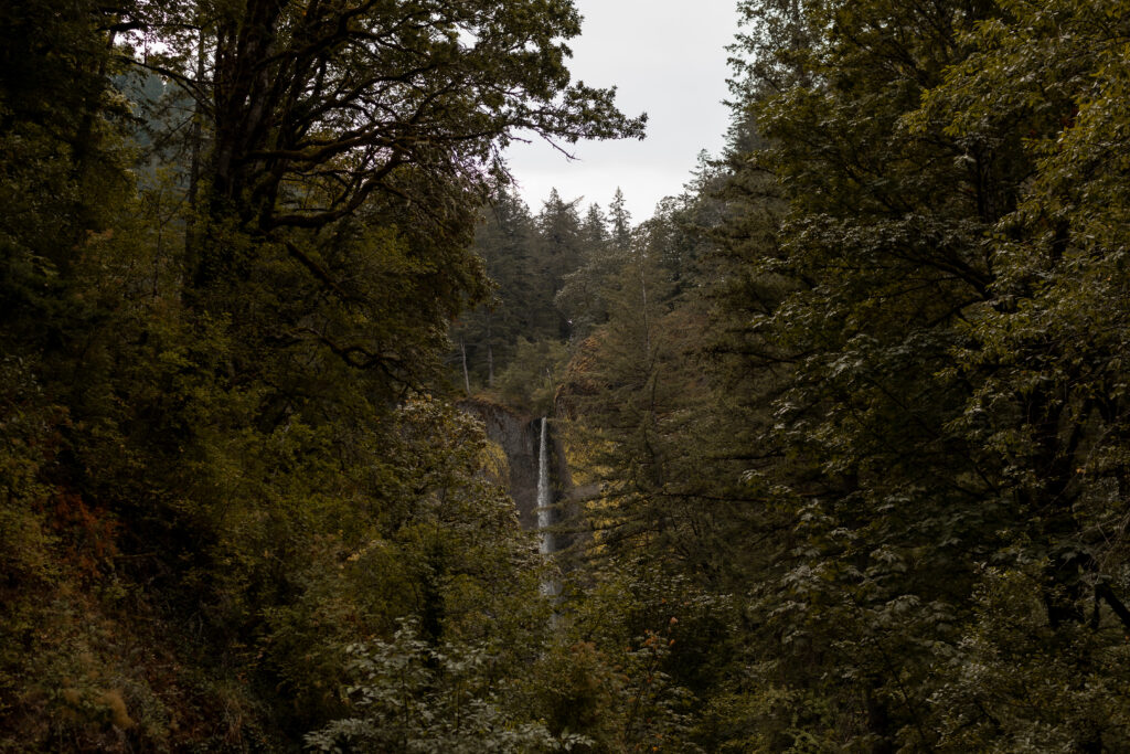 beautiful waterfall in oregon