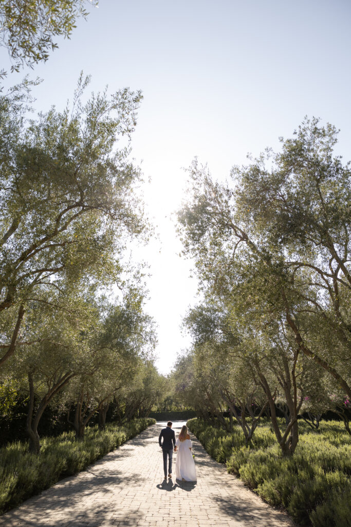 Couple walks into the distance on a brick paved road with the large tree's canopy over them.