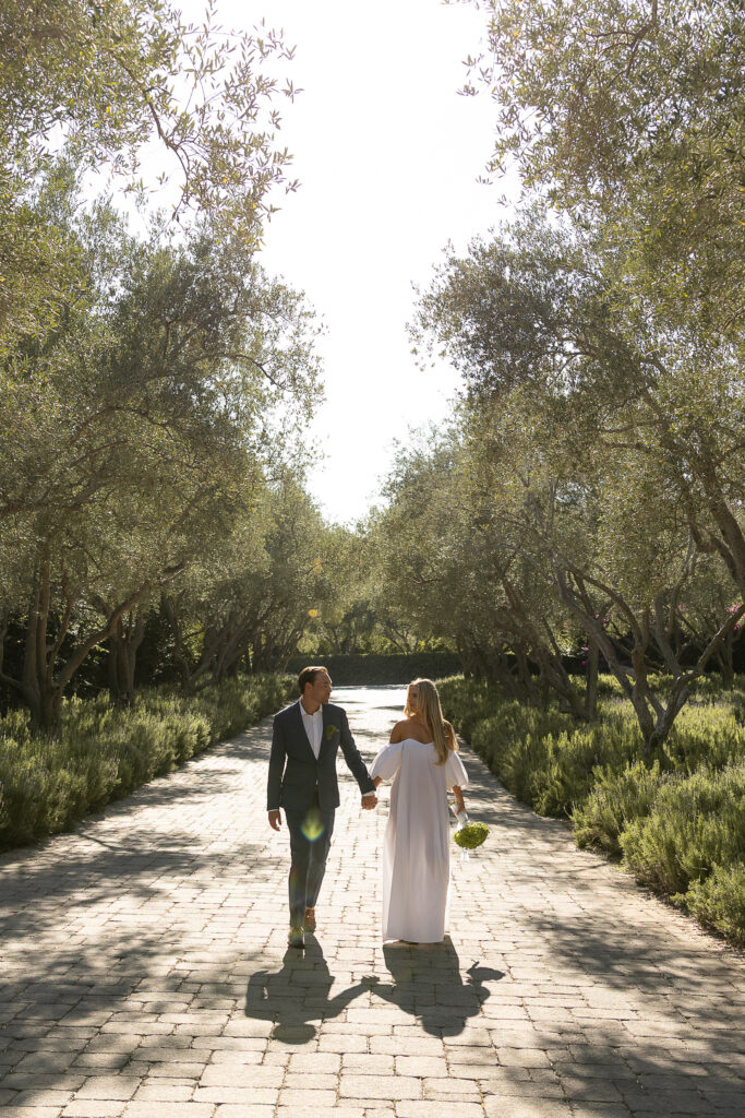 Bride in a flowing white gown and groom in a dark suit walking hand-in-hand down a historic, tree-lined brick road, bathed in soft, natural light.